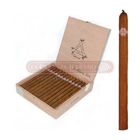 Montecristo Spezial